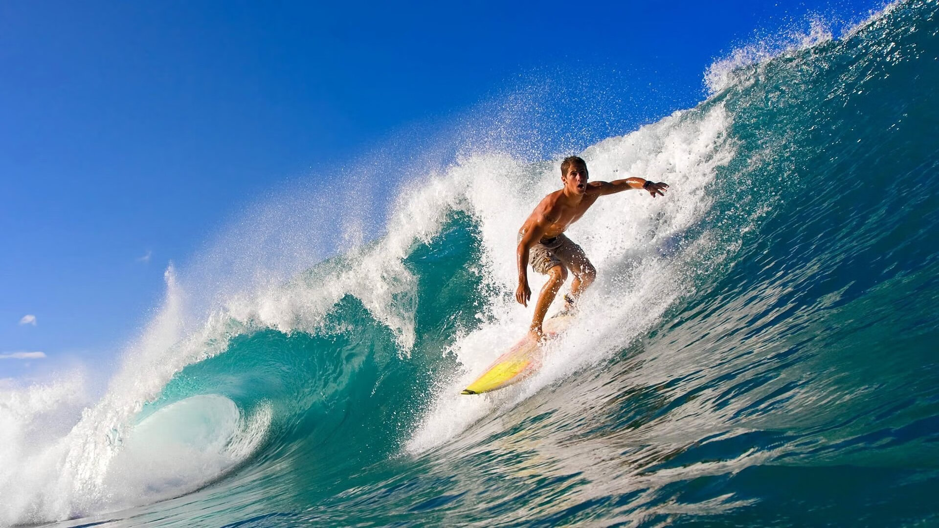 横扫东瀛，王者归来—樊振东领军法国队大胜日本队纪实